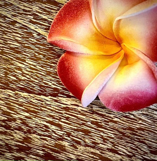 فيلا Boho Bellissimo أوبود المظهر الخارجي الصورة